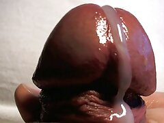 PureTaboo: ພະຍາບານບ້ານຫມູນໃຊ້ fucking ຜົວ horny ໃນ PornHD ກັບ Olive Glass
